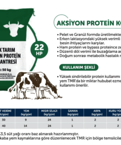 Aksiyon Protein Konsantresi
