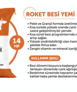 Roket Besi Yemi