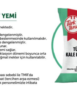 Kale Plus Süt Yemi