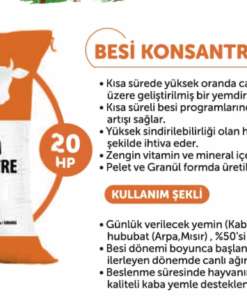 Besi Konsantre Yemi