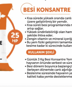Besi Konsantre Yemi