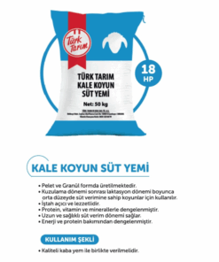 Kale Koyun Süt Yemi