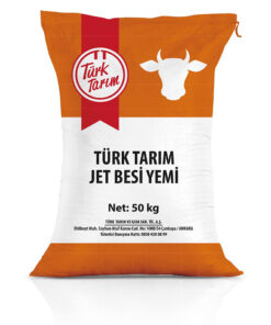 Jest Besi Yemi