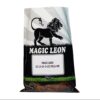 Magic Leon 11 - 11 - 11