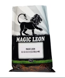 Magic Leon 11 - 11 - 11