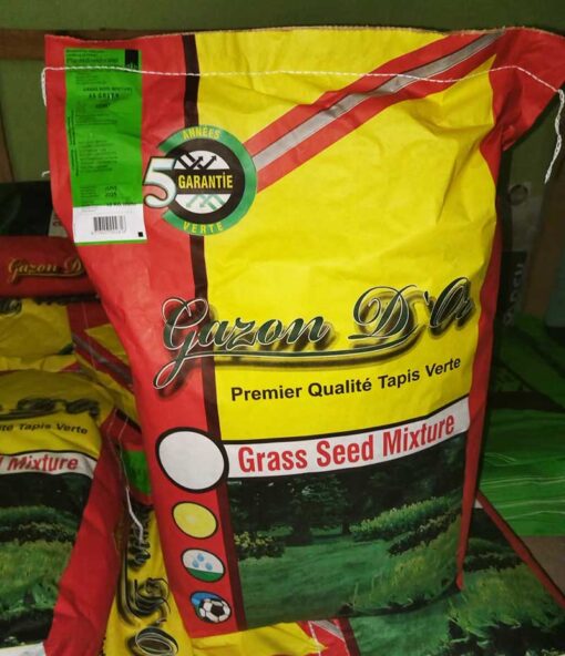 Gazon 10 kg çim tohumu
